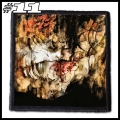 SHINING -- Patch (11).jpg
