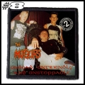 THE METEORS -- Patch (8).jpg