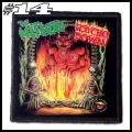 THE METEORS -- Patch (14).jpg