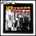 THE METEORS -- Patch (24).jpg