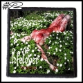 LIFELOVER -- Patch (2).jpg