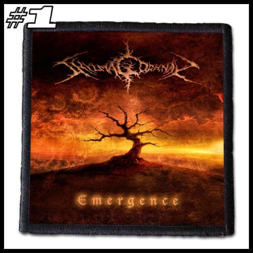 SHYLMAGOGHNAR -- Patch (1).jpg