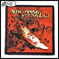 STRAPPING YOUNG LAD -- Patch (3).jpg