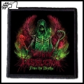 WITHIN DESTRUCTION --- Patch (1).jpg