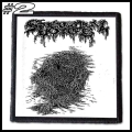 SPECTRAL VOICE -- Patch (2).jpg