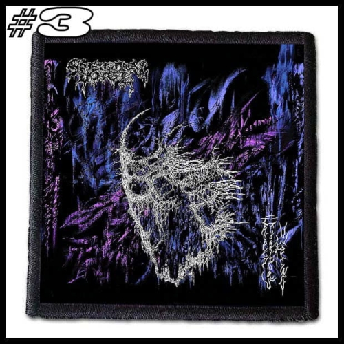 SPECTRAL VOICE -- Patch (3).jpg