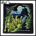 CRUEL FORCE --- Patch (4).jpg