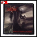 DESASTER --- Patch (1).jpg