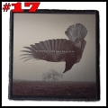 KATATONIA --- Patch (17).jpg