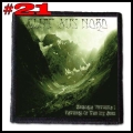BLUT AUS NORD --- Patch (21).jpg