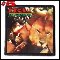 EXCEL --- Patch (5).jpg