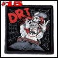 DRI --- Patch (15).jpg
