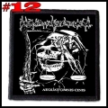 HEAVEN SHALL BURN --- Patch (12).jpg