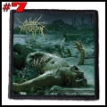 CATTLE DECAPITATION --- patch (7).jpg