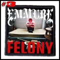 EMMURE --- Patch (3).jpg