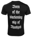 IMMORTAL - PURE HOLOCAUST shirt (2).jpg
