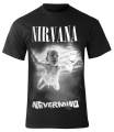 NIRVANA - NEVERMIND shirt (1).jpg