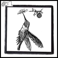 BLUE HUMMINGBIRD ON THE LEFT -- Patch (1).jpg