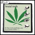 BRUTAL TRUTH --- Patch (9).jpg