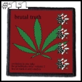 BRUTAL TRUTH --- Patch (11).jpg