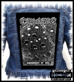 CARNAGE - Infestation of Evil --- Backpatch Back Patch.jpg