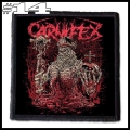 CARNIFEX -- Patch (14).jpg