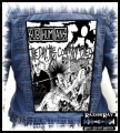 SUBHUMANS - The Day The Country Died.jpg