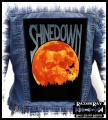 SHINEDOWN - Moon.jpg
