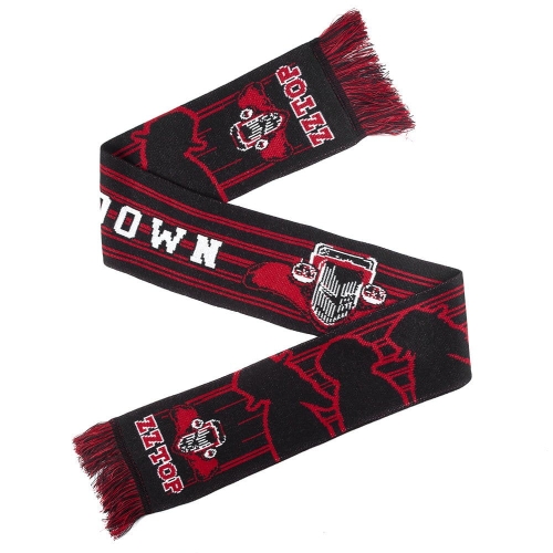 ZZ TOP scarf (1).jpg