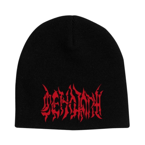 pol_pl_CENOTAPH-Logo-CZAPKA-BEANIE-B44-7543_1.jpg