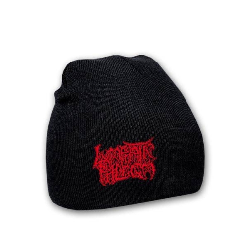 pol_pl_LYMPHATIC-PHLEGM-Logo-CZAPKA-BEANIE-B44-8043_1.jpg