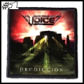 VOICE -- Patch (1).jpg