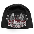 DESTRUCTION -- beanie (2).jpg