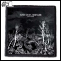 SPECTRAL WOUND -- patch (1).jpg