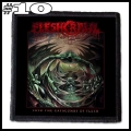 FLESHCRAWL -- patch (10).jpg