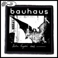BAUHAUS -- Patch (9).jpg