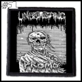 UNDERGANG -- Patch (1).jpg