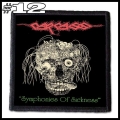 CARCASS -- Patch (12).jpg