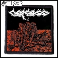 CARCASS -- Patch (13).jpg