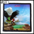 BUDGIE -- Patch (3).jpg
