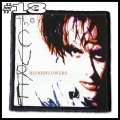 THE CURE -- Patch (13).jpg