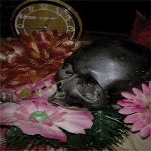 FDS - Nagranie Z Muzyką Naiwną CD