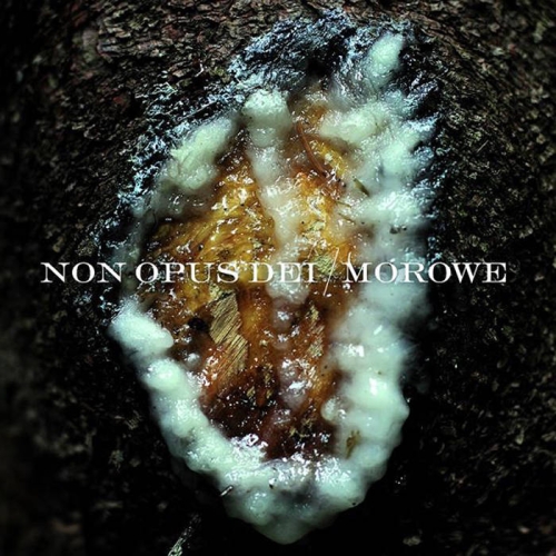 NON OPUS DEI  MOROWE - Dziwki Dwie CD.jpg
