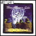 BLUE OYSTER CULT -- Patch (13).jpg