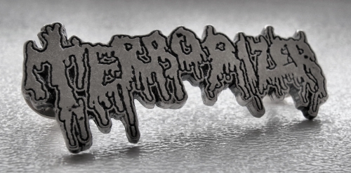 TERRORIZER -- Metal Pin.JPG