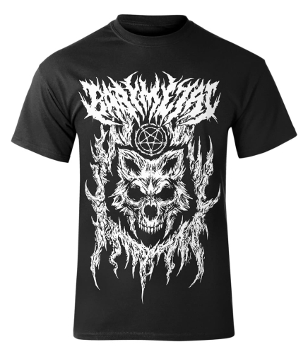 BABYMETAL shirt (1).jpg
