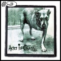 ALICE IN CHAINS -- patch (9).jpg