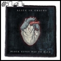 ALICE IN CHAINS -- patch (14).jpg