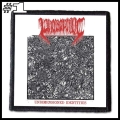 PHOBOPHILIC -- patch (1).jpg