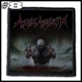 ASSASSIN -- patch (8).jpg